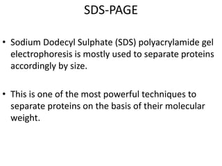 SDS-PAGE
• Sodium Dodecyl Sulphate (SDS) polyacrylamide gel
electrophoresis is mostly used to separate proteins
accordingly by size.
• This is one of the most powerful techniques to
separate proteins on the basis of their molecular
weight.
 