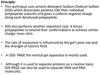 Principle:
• This technique uses anionic detergent Sodium Dodecyl Sulfate
(SDS) which dissociates proteins into their individual
polypeptide subunits and gives a uniform negative charge
along each denatured polypeptide.
• SDS also performs another important task. It forces
polypeptides to extend their conformations to achieve similar
charge: mass ratio.
• The rate of movement is influenced by the gel’s pore size and
the strength of electric field.
• In SDS- PAGE the vertical gel apparatus is mostly used.
• Although it is used to separate proteins on a routine basis,
SDS-PAGE can also be used to separate DNA and RNA
molecules.
 