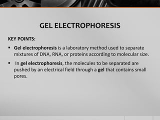 GEL ELECTROPHORESIS
KEY POINTS:
 Gel electrophoresis is a laboratory method used to separate
mixtures of DNA, RNA, or proteins according to molecular size.
 In gel electrophoresis, the molecules to be separated are
pushed by an electrical field through a gel that contains small
pores.
 