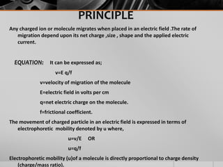 PRINCIPLE
Any charged ion or molecule migrates when placed in an electric field .The rate of
migration depend upon its net charge ,size , shape and the applied electric
current.
EQUATION: It can be expressed as;
v=E q/f
v=velocity of migration of the molecule
E=electric field in volts per cm
q=net electric charge on the molecule.
f=frictional coefficient.
The movement of charged particle in an electric field is expressed in terms of
electrophoretic mobility denoted by u where,
u=v/E OR
u=q/f
Electrophoretic mobility (u)of a molecule is directly proportional to charge density
(charge/mass ratio).
 