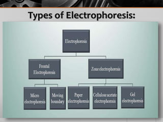 Types of Electrophoresis:
 