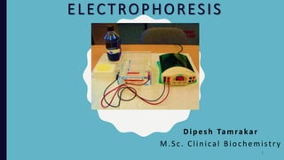 ELECTROPHORESIS
Dipesh Tamrakar
M.Sc. Clinical Biochemistry
1
 