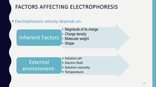 FACTORS AFFECTING ELECTROPHORESIS
• Electrophoresis velocity depends on-
• Magnitude of its charge
• Charge density
• Molecular weight
• Shape
Inherent Factors
• Solution pH
• Electric field
• Solution viscosity
• Temperature
External
environment-
10
 