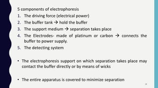 5 components of electrophoresis
1. The driving force (electrical power)
2. The buffer tank  hold the buffer
3. The support medium  separation takes place
4. The Electrodes- made of platinum or carbon  connects the
buffer to power supply.
5. The detecting system
• The electrophoresis support on which separation takes place may
contact the buffer directly or by means of wicks
• The entire apparatus is covered to minimize separation
18
 