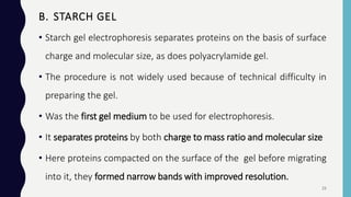 • Starch gel electrophoresis separates proteins on the basis of surface
charge and molecular size, as does polyacrylamide gel.
• The procedure is not widely used because of technical difficulty in
preparing the gel.
• Was the first gel medium to be used for electrophoresis.
• It separates proteins by both charge to mass ratio and molecular size
• Here proteins compacted on the surface of the gel before migrating
into it, they formed narrow bands with improved resolution.
B. STARCH GEL
25
 