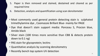 5. Paper is then removed and stained, destained and cleared as per
required time
6. Detection, analysis and quantification using scan densitometer
• Most commonly used general protein detecting stain is sulphated
trimethylamine dye , Coomassie Brillant Blue- mainly for PAGE
• Dye that doesn’t stain support media: Ponceau S, Procion blue,
Amido black
• Silver stain (100 times more sensitive than CBB & detects protein
down to 0.1 ng)
• PAS stain for glycoprotein; lectins
• Quantitative analysis by scanning densitometry
• Recently bench top system UV detection
31
 