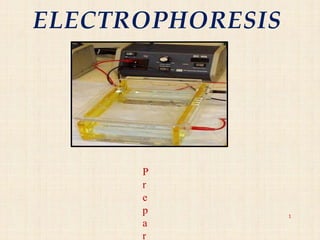 ELECTROPHORESIS
1
P
r
e
p
a
r
 