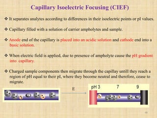 Electrophoresis | PDF