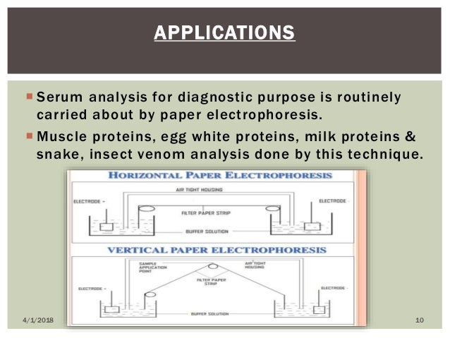 Agarose gel electrophoresis pdf picture