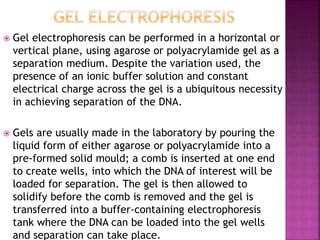  Gel electrophoresis can be performed in a horizontal or
vertical plane, using agarose or polyacrylamide gel as a
separation medium. Despite the variation used, the
presence of an ionic buffer solution and constant
electrical charge across the gel is a ubiquitous necessity
in achieving separation of the DNA.
 Gels are usually made in the laboratory by pouring the
liquid form of either agarose or polyacrylamide into a
pre-formed solid mould; a comb is inserted at one end
to create wells, into which the DNA of interest will be
loaded for separation. The gel is then allowed to
solidify before the comb is removed and the gel is
transferred into a buffer-containing electrophoresis
tank where the DNA can be loaded into the gel wells
and separation can take place.
 