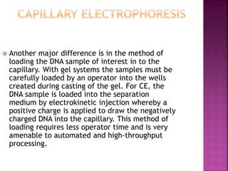 Another major difference is in the method of
loading the DNA sample of interest in to the
capillary. With gel systems the samples must be
carefully loaded by an operator into the wells
created during casting of the gel. For CE, the
DNA sample is loaded into the separation
medium by electrokinetic injection whereby a
positive charge is applied to draw the negatively
charged DNA into the capillary. This method of
loading requires less operator time and is very
amenable to automated and high-throughput
processing.
 