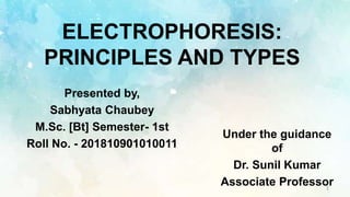 ELECTROPHORESIS:
PRINCIPLES AND TYPES
Presented by,
Sabhyata Chaubey
M.Sc. [Bt] Semester- 1st
Roll No. - 201810901010011
Under the guidance
of
Dr. Sunil Kumar
Associate Professor1
 