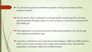Electrophoresis | PPTX