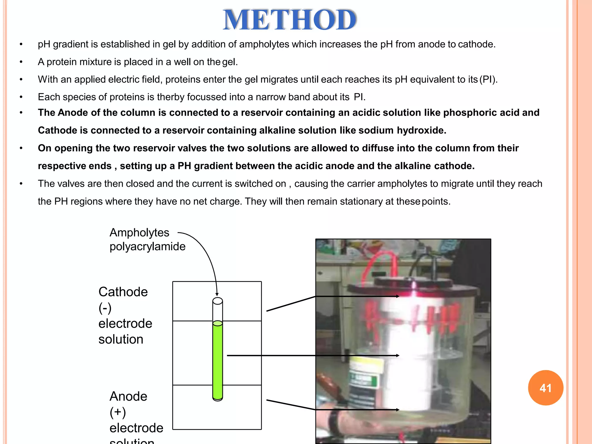 Anode
(+)
electrode
METHOD
• pH gradient is established in gel by addition of ampholytes which increases the pH from anode to cathode.
• A protein mixture is placed in a well on thegel.
• With an applied electric field, proteins enter the gel migrates until each reaches its pH equivalent to its(PI).
• Each species of proteins is therby focussed into a narrow band about its PI.
• The Anode of the column is connected to a reservoir containing an acidic solution like phosphoric acid and
Cathode is connected to a reservoir containing alkaline solution like sodium hydroxide.
• On opening the two reservoir valves the two solutions are allowed to diffuse into the column from their
respective ends , setting up a PH gradient between the acidic anode and the alkaline cathode.
• The valves are then closed and the current is switched on , causing the carrier ampholytes to migrate until they reach
the PH regions where they have no net charge. They will then remain stationary at thesepoints.
Ampholytes
polyacrylamide
Cathode
(-)
electrode
solution
41
 