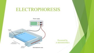 ELECTROPHORESIS
1
 