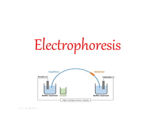 Electrophoresis
 