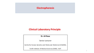 1
Clinical Laboratory Principle
Electrophoresis
 