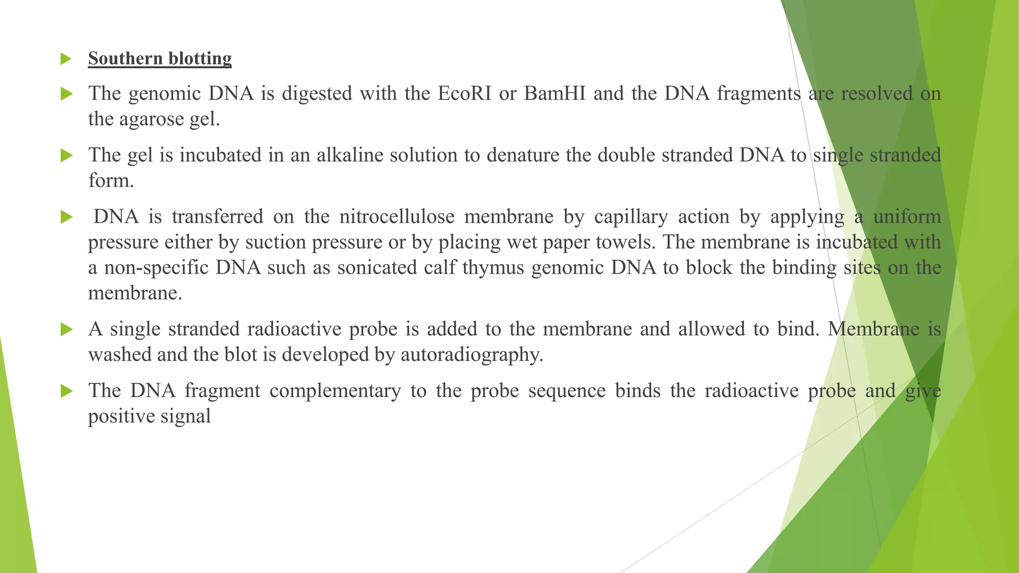  Southern blotting
 The genomic DNA is digested with the EcoRI or BamHI and the DNA fragments are resolved on
the agarose gel.
 The gel is incubated in an alkaline solution to denature the double stranded DNA to single stranded
form.
 DNA is transferred on the nitrocellulose membrane by capillary action by applying a uniform
pressure either by suction pressure or by placing wet paper towels. The membrane is incubated with
a non-specific DNA such as sonicated calf thymus genomic DNA to block the binding sites on the
membrane.
 A single stranded radioactive probe is added to the membrane and allowed to bind. Membrane is
washed and the blot is developed by autoradiography.
 The DNA fragment complementary to the probe sequence binds the radioactive probe and give
positive signal
 
