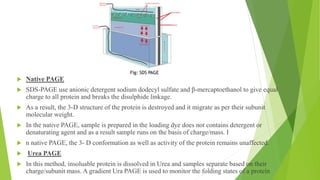 Electrophoresis | PPTX