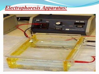 Electrophoresis Apparatus:
 
