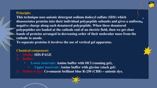Principle:
This technique uses anionic detergent sodium dodecyl sulfate (SDS) which
disassociates proteins into their individual polypeptide subunits and gives a uniform
negative charge along each denatured polypeptide. When these denatured
polypeptides are loaded at the cathode end of an electric field, then we get clear
bands of proteins arranged in decreasing order of their molecular mass from the
cathode to anode.
To separate proteins it involves the use of vertical gel apparatus.
Chemical component:
1. Media: SDS-PAGE
2. Buffer:
• Lower reservoir: Amine buffer with HCl (running gel),
• Upper reservoir: Amine buffer with glycine (stack gel)
3. Stains or dye: Co-omassie brilliant blue R-250 (CBB) – anionic dye.
 