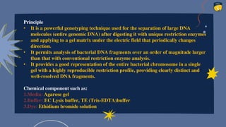 Principle
• It is a powerful genotyping technique used for the separation of large DNA
molecules (entire genomic DNA) after digesting it with unique restriction enzymes
and applying to a gel matrix under the electric field that periodically changes
direction.
• It permits analysis of bacterial DNA fragments over an order of magnitude larger
than that with conventional restriction enzyme analysis.
• It provides a good representation of the entire bacterial chromosome in a single
gel with a highly reproducible restriction profile, providing clearly distinct and
well-resolved DNA fragments.
Chemical component such as:
1.Media: Agarose gel
2.Buffer: EC Lysis buffer, TE (Tris-EDTA)buffer
3.Dye: Ethidium bromide solution
 