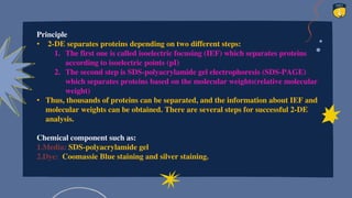 Principle
• 2-DE separates proteins depending on two different steps:
1. The first one is called isoelectric focusing (IEF) which separates proteins
according to isoelectric points (pI)
2. The second step is SDS-polyacrylamide gel electrophoresis (SDS-PAGE)
which separates proteins based on the molecular weights(relative molecular
weight)
• Thus, thousands of proteins can be separated, and the information about IEF and
molecular weights can be obtained. There are several steps for successful 2-DE
analysis.
Chemical component such as:
1.Media: SDS-polyacrylamide gel
2.Dye: Coomassie Blue staining and silver staining.
 