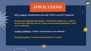 APPLICATIONS
• DNA Analysis :Identification and study of DNA and DNA fragments.
• Protein and Antibody Interactions : Immunoelectrophoresis - analyzes
the presence and behaviors of certain proteins immunoglobulins, which
act as antibodies.
• Testing Antibiotics : Purity, concentration of an antibiotic
• Testing Vaccines: Creation and production of vaccines
23
 