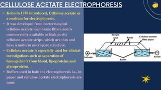 • Kohn in 1958 introduced, Cellulose acetate as
a medium for electrophoresis.
• It was developed from bacteriological
cellulose acetate membrane filters and is
commercially available as high purity
cellulose acetate strips, which are thin and
have a uniform micropore structure.
• Cellulose acetate is especially used for clinical
investigations such as separation of
hemoglobin’s from blood, lipoproteins and
glycoproteins.
• Buffers used in both the electrophoresis i.e., in
paper and cellulose acetate electrophoresis are
same
 