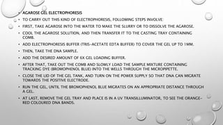 • AGAROSE GEL ELECTROPHORESIS
• TO CARRY OUT THIS KIND OF ELECTROPHORESIS, FOLLOWING STEPS INVOLVE:
• FIRST, TAKE AGAROSE INTO THE WATER TO MAKE THE SLURRY OR TO DISSOLVE THE AGAROSE.
• COOL THE AGAROSE SOLUTION, AND THEN TRANSFER IT TO THE CASTING TRAY CONTAINING
COMB.
• ADD ELECTROPHORESIS BUFFER (TRIS-ACETATE EDTA BUFFER) TO COVER THE GEL UP TO 1MM.
• THEN, TAKE THE DNA SAMPLE.
• ADD THE DESIRED AMOUNT OF 6X GEL LOADING BUFFER.
• AFTER THAT, TAKE OUT THE COMB AND SLOWLY LOAD THE SAMPLE MIXTURE CONTAINING
TRACKING DYE (BROMOPHENOL BLUE) INTO THE WELLS THROUGH THE MICROPIPETTE.
• CLOSE THE LID OF THE GEL TANK, AND TURN ON THE POWER SUPPLY SO THAT DNA CAN MIGRATE
TOWARDS THE POSITIVE ELECTRODE.
• RUN THE GEL, UNTIL THE BROMOPHENOL BLUE MIGRATES ON AN APPROPRIATE DISTANCE THROUGH
A GEL.
• AT LAST, REMOVE THE GEL TRAY AND PLACE IS IN A UV TRANSILLUMINATOR, TO SEE THE ORANGE-
RED COLOURED DNA BANDS.
 