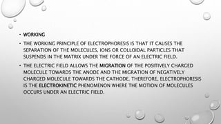 • WORKING
• THE WORKING PRINCIPLE OF ELECTROPHORESIS IS THAT IT CAUSES THE
SEPARATION OF THE MOLECULES, IONS OR COLLOIDAL PARTICLES THAT
SUSPENDS IN THE MATRIX UNDER THE FORCE OF AN ELECTRIC FIELD.
• THE ELECTRIC FIELD ALLOWS THE MIGRATION OF THE POSITIVELY CHARGED
MOLECULE TOWARDS THE ANODE AND THE MIGRATION OF NEGATIVELY
CHARGED MOLECULE TOWARDS THE CATHODE. THEREFORE, ELECTROPHORESIS
IS THE ELECTROKINETIC PHENOMENON WHERE THE MOTION OF MOLECULES
OCCURS UNDER AN ELECTRIC FIELD.
 