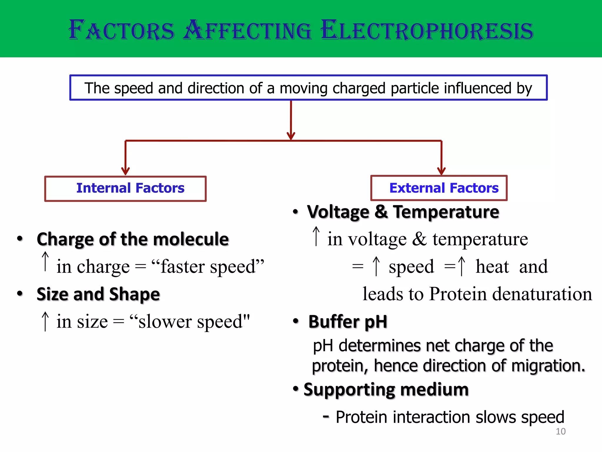 10
External Factors
• Voltage & Temperature
in voltage & temperature
= speed = heat and
leads to Protein denaturation
• Buffer pH
pH determines net charge of the
protein, hence direction of migration.
• Supporting medium
- Protein interaction slows speed
Internal Factors
• Charge of the molecule
in charge = “faster speed”
• Size and Shape
in size = “slower speed"
FACTORS AFFECTING ELECTROPHORESIS
The speed and direction of a moving charged particle influenced by
 