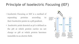 Electrophoresis for the students of uG and PG | PPTX