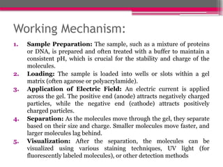 Working Mechanism:
1. Sample Preparation: The sample, such as a mixture of proteins
or DNA, is prepared and often treated with a buffer to maintain a
consistent pH, which is crucial for the stability and charge of the
molecules.
2. Loading: The sample is loaded into wells or slots within a gel
matrix (often agarose or polyacrylamide).
3. Application of Electric Field: An electric current is applied
across the gel. The positive end (anode) attracts negatively charged
particles, while the negative end (cathode) attracts positively
charged particles.
4. Separation: As the molecules move through the gel, they separate
based on their size and charge. Smaller molecules move faster, and
larger molecules lag behind.
5. Visualization: After the separation, the molecules can be
visualized using various staining techniques, UV light (for
fluorescently labeled molecules), or other detection methods
 