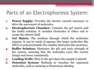 Parts of an Electrophoresis System:
1. Power Supply: Provides the electric current necessary to
drive the movement of molecules.
2. Electrophoresis Chamber: Contains the gel matrix and
the buffer solution. It includes electrodes at either end to
create the electric field.
3. Gel Matrix: The medium through which the molecules
migrate. It can be made of agarose (for larger molecules like
DNA) or polyacrylamide (for smaller molecules like proteins).
4. Buffer Solution: Maintains the pH and ionic strength of
the system, ensuring that the molecules carry the correct
charge and move consistently.
5. Loading Wells: Slots in the gel where the sample is placed.
6. Detection System: Methods to visualize the separated
molecules, such as staining or fluorescent labeling
 