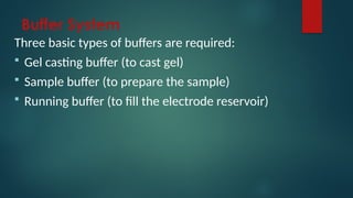 Biological molecules such as Amino acids, proteins , Peptides ...