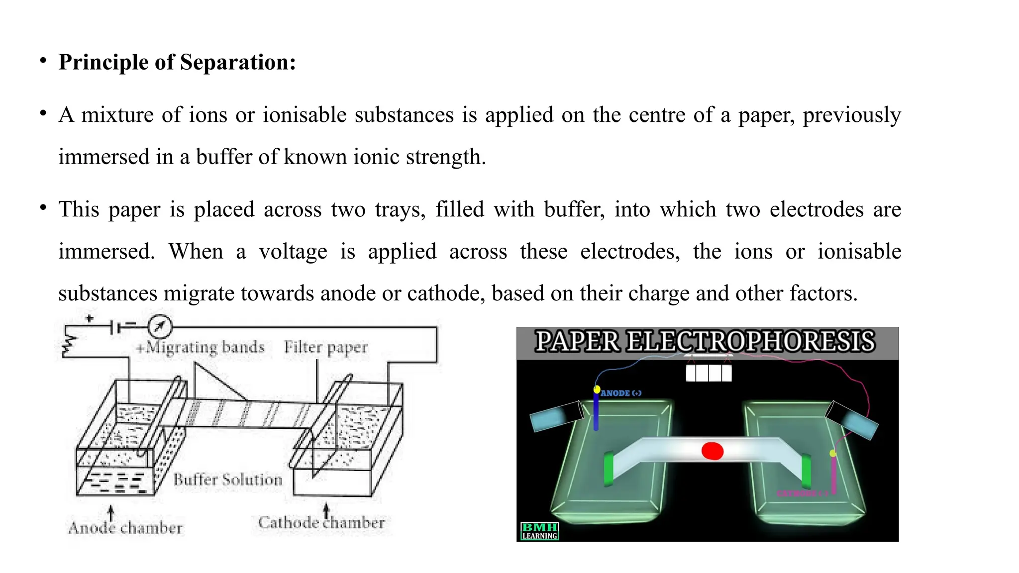 • Principle of Separation:
• A mixture of ions or ionisable substances is applied on the centre of a paper, previously
immersed in a buffer of known ionic strength.
• This paper is placed across two trays, filled with buffer, into which two electrodes are
immersed. When a voltage is applied across these electrodes, the ions or ionisable
substances migrate towards anode or cathode, based on their charge and other factors.
 