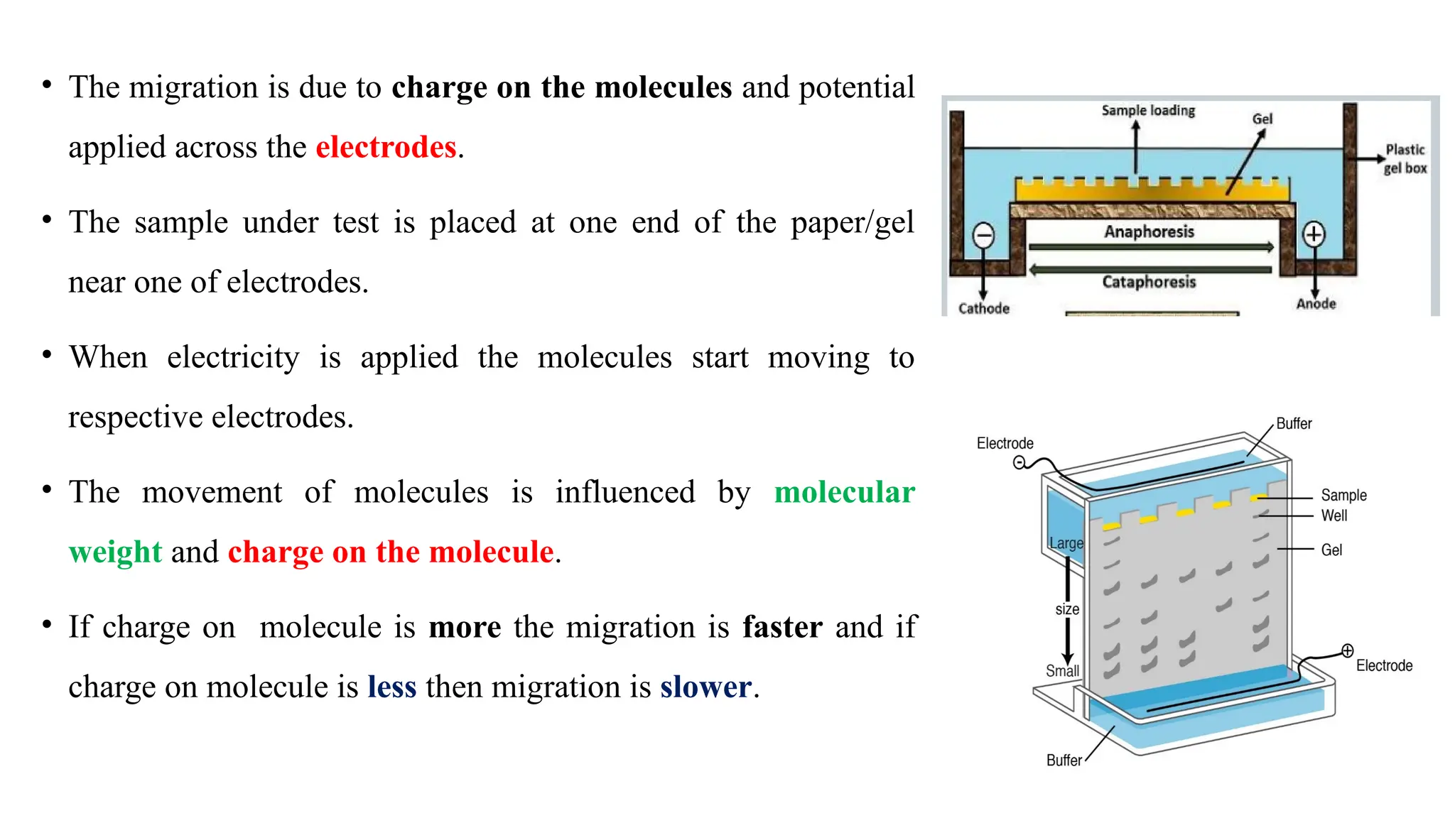 • The migration is due to charge on the molecules and potential
applied across the electrodes.
• The sample under test is placed at one end of the paper/gel
near one of electrodes.
• When electricity is applied the molecules start moving to
respective electrodes.
• The movement of molecules is influenced by molecular
weight and charge on the molecule.
• If charge on molecule is more the migration is faster and if
charge on molecule is less then migration is slower.
 