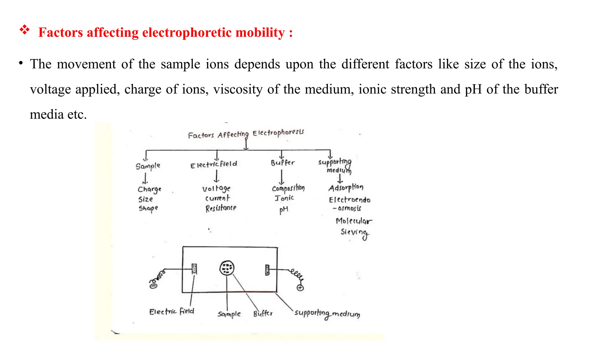  Factors affecting electrophoretic mobility :
• The movement of the sample ions depends upon the different factors like size of the ions,
voltage applied, charge of ions, viscosity of the medium, ionic strength and pH of the buffer
media etc.
 