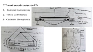  Types of paper electrophoresis (PE)
1. Horizontal Electrophoresis
2. Vertical Electrophoresis
3. Continuous Electrophoresis
 