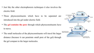 • Just like the other electrophoresis techniques it also involves the
electric field.
• Those phytoconstituents which have to be separated are
introduced into the gel under electric field.
• The gel contains the pore through which phytoconstituents have
to move.
• The small molecules of the phytoconstituents will travel the larger
distance (because it can penetrate small pore of the gel) through
the gel compare to the larger molecules.
 