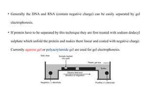 • Generally the DNA and RNA (contain negative charge) can be easily separated by gel
electrophoresis.
• If protein have to be separated by this technique they are first treated with sodium dodecyl
sulphate which unfold the protein and makes them linear and coated with negative charge.
Currently agarose gel or polyacrylamide gel are used for gel electrophoresis.
 
