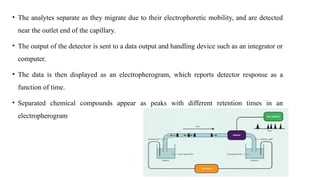 • The analytes separate as they migrate due to their electrophoretic mobility, and are detected
near the outlet end of the capillary.
• The output of the detector is sent to a data output and handling device such as an integrator or
computer.
• The data is then displayed as an electropherogram, which reports detector response as a
function of time.
• Separated chemical compounds appear as peaks with different retention times in an
electropherogram
 