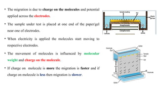 • The migration is due to charge on the molecules and potential
applied across the electrodes.
• The sample under test is placed at one end of the paper/gel
near one of electrodes.
• When electricity is applied the molecules start moving to
respective electrodes.
• The movement of molecules is influenced by molecular
weight and charge on the molecule.
• If charge on molecule is more the migration is faster and if
charge on molecule is less then migration is slower.
 