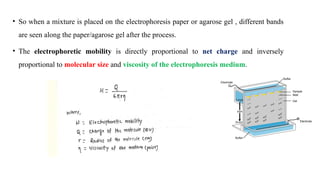 • So when a mixture is placed on the electrophoresis paper or agarose gel , different bands
are seen along the paper/agarose gel after the process.
• The electrophoretic mobility is directly proportional to net charge and inversely
proportional to molecular size and viscosity of the electrophoresis medium.
 