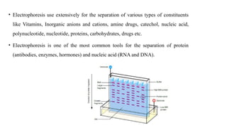 • Electrophoresis use extensively for the separation of various types of constituents
like Vitamins, Inorganic anions and cations, amine drugs, catechol, nucleic acid,
polynucleotide, nucleotide, proteins, carbohydrates, drugs etc.
• Electrophoresis is one of the most common tools for the separation of protein
(antibodies, enzymes, hormones) and nucleic acid (RNA and DNA).
 