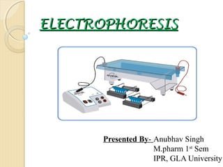 ELECTROPHORESIS

Presented By- Anubhav Singh
M.pharm 1st Sem
IPR, GLA University

 