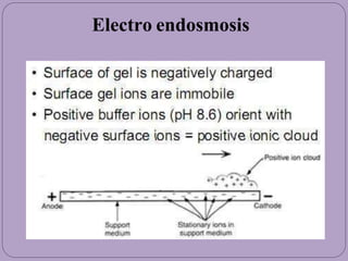 Electro endosmosis
 