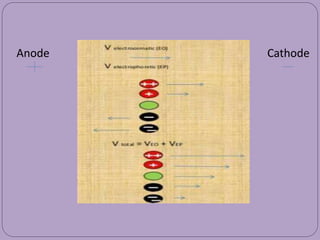 Cathode
Anode
 