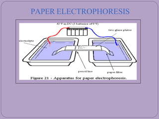 PAPER ELECTROPHORESIS
 